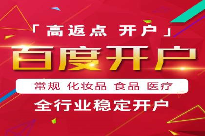 SEM投放策略：成功案例解析